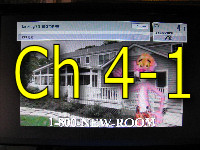Thumbnail of digital multicast channel 1